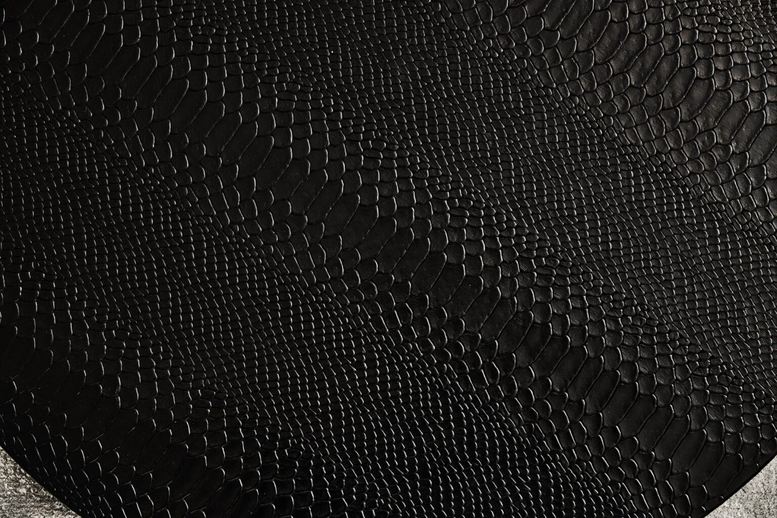 Zwart python patroon